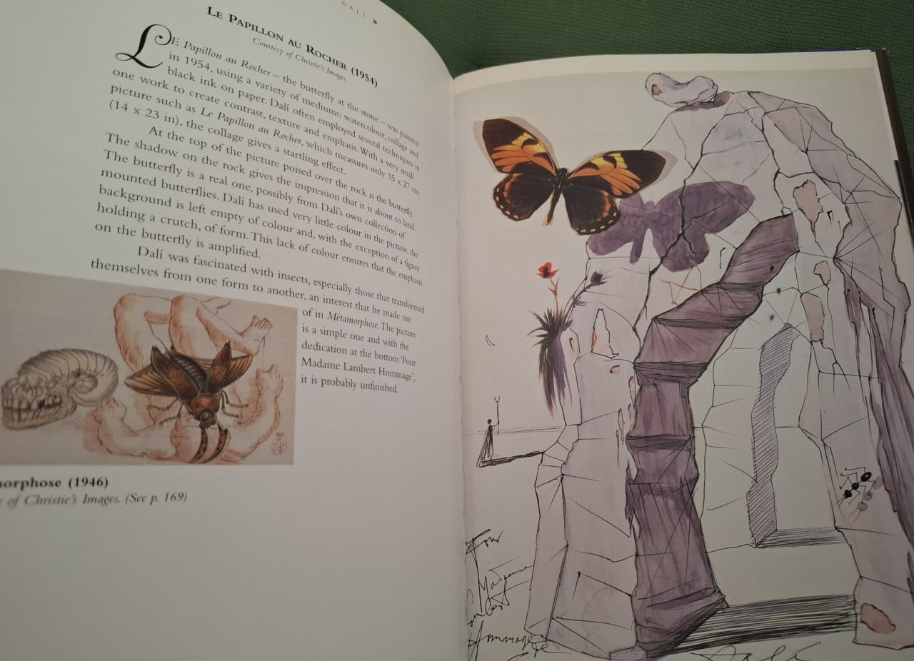 Essential Dali, door Kirsten Bradbury.  Uitg. Dempsey Parr
