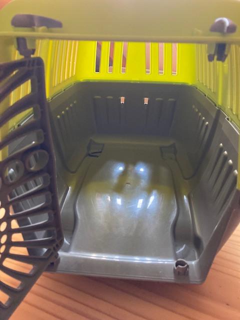 Reismand kleine huisdieren