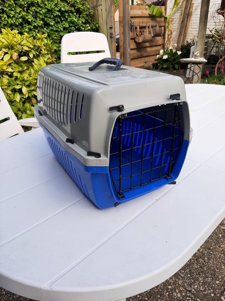 Katten reismand