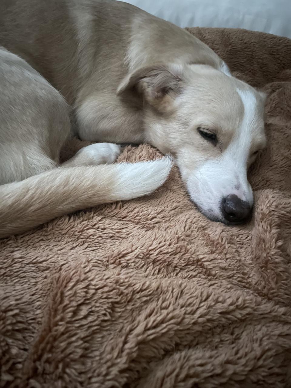 Terra zoekt een passend thuis