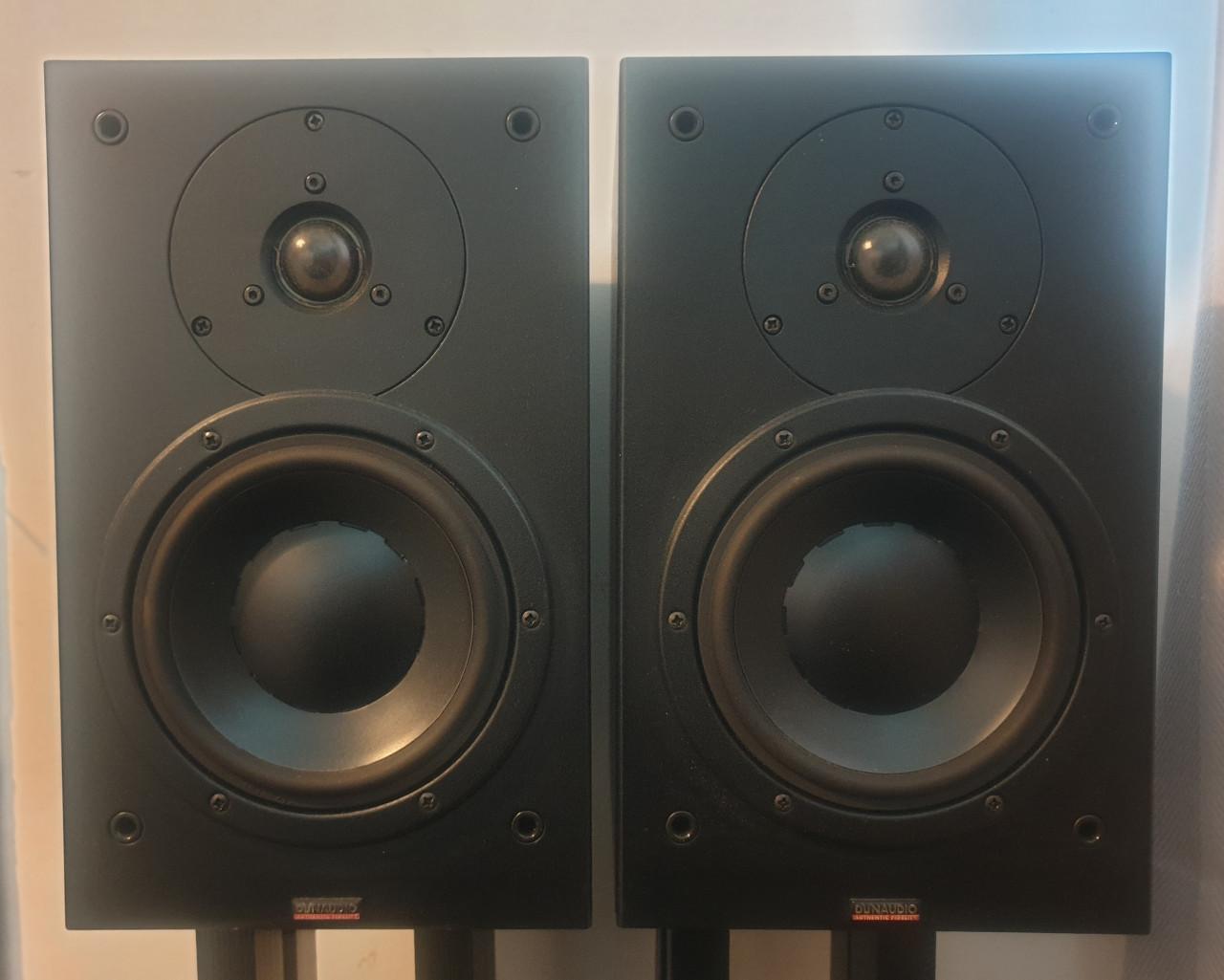 Dynaudio audience 52