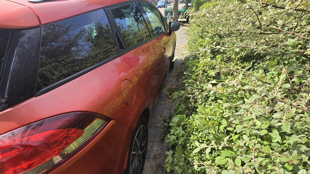 Renault Clio estate 2013