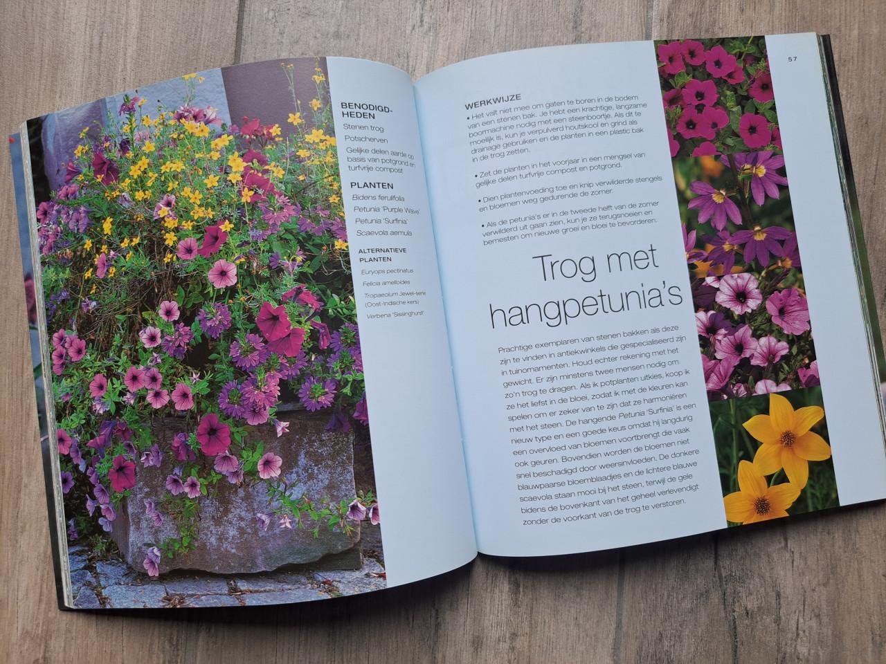 Opgepot en aangekleed/ Tuinieren in potten en bakken