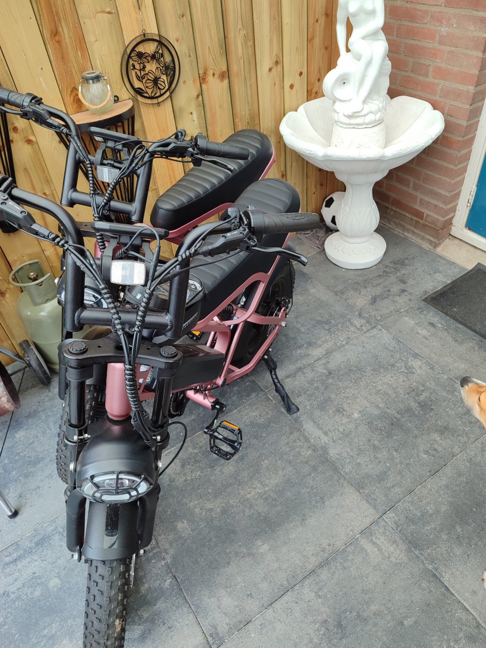 Fatbike mini