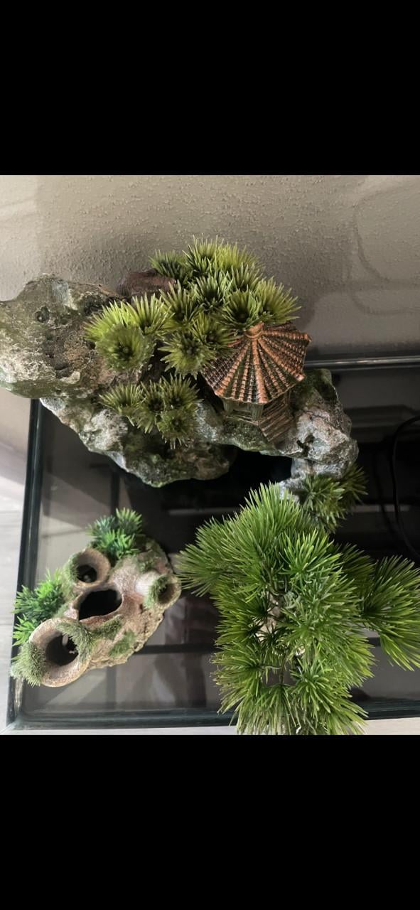 Complete aquarium set inc. Meubel en accessoires