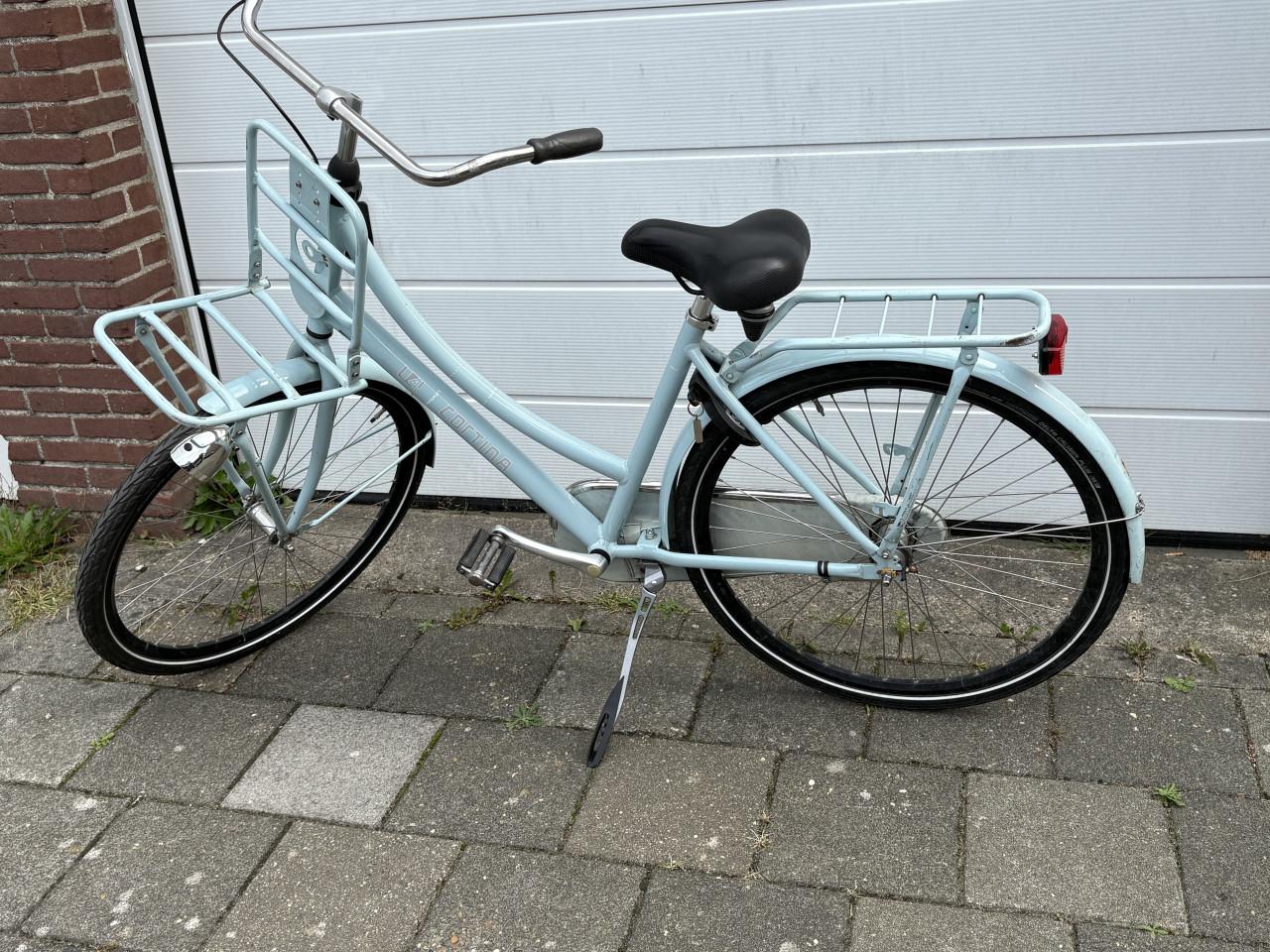 Cortina U4 D49 Nexus 3