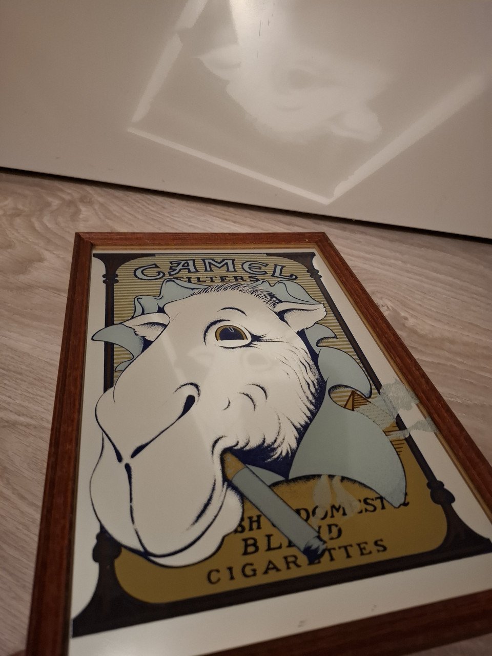 Camel spiegel