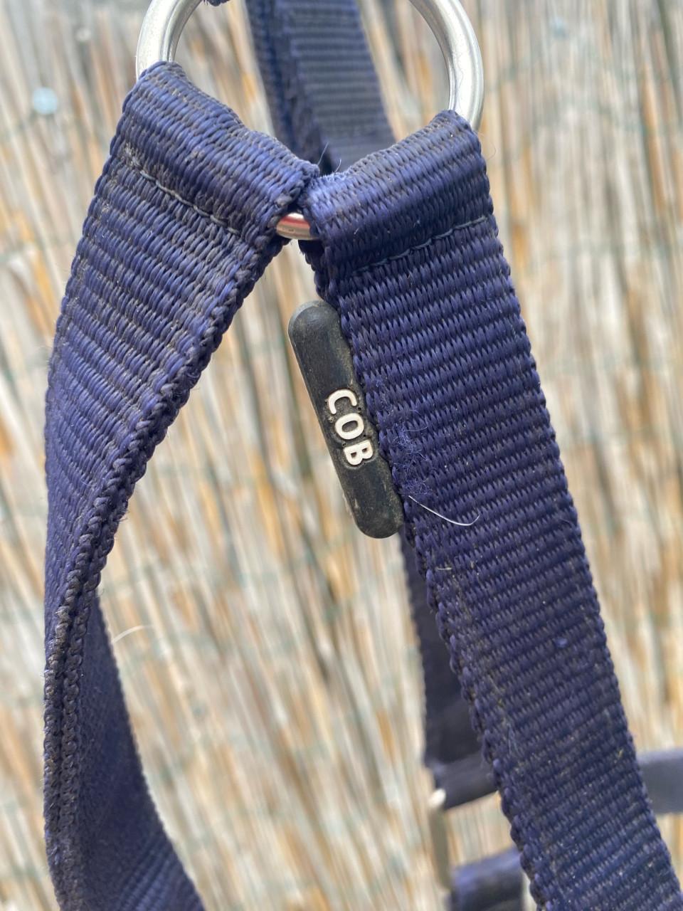 Gratis halsters full en cob