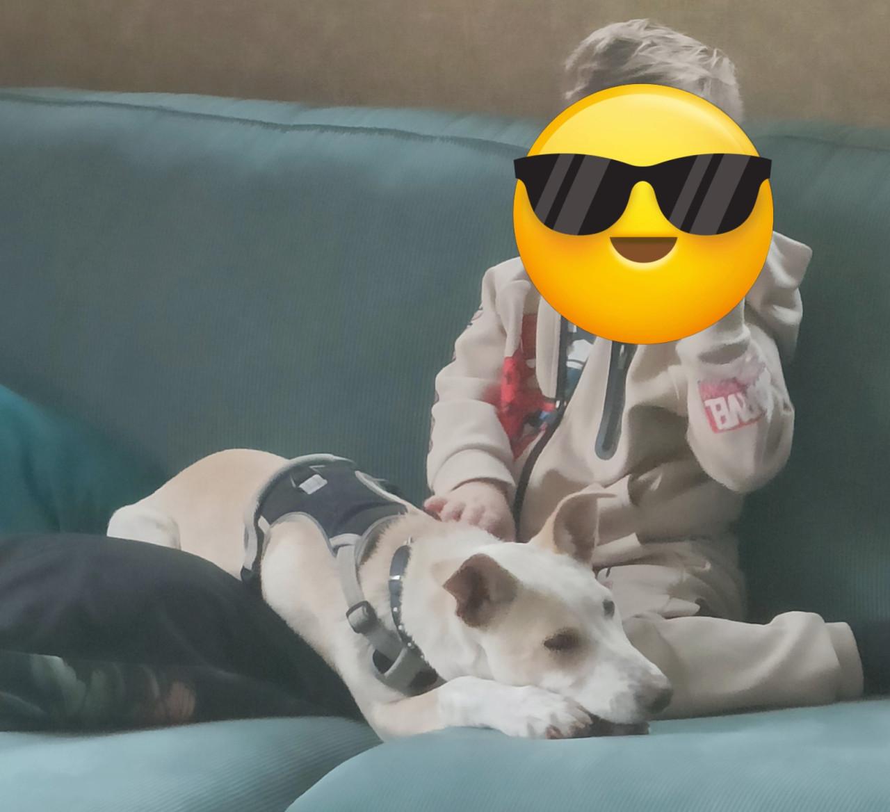 Slimme lieve sociale reu 4mnd