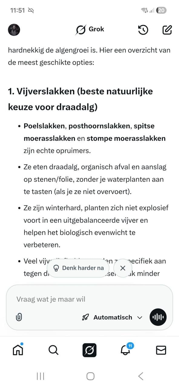 Nieuw‼️Curver hondenhok