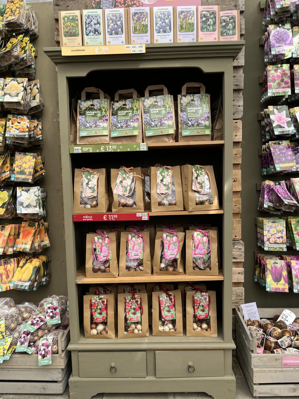 Bloembollen 50% korting!