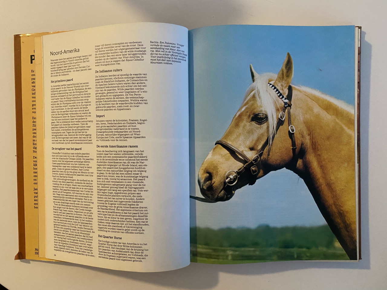 Paardenboek