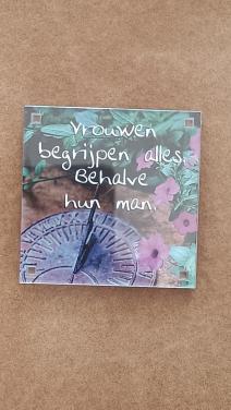 Magneet met de tekst: ‘Vrouwen begrijpen alles, behalve hun man’.