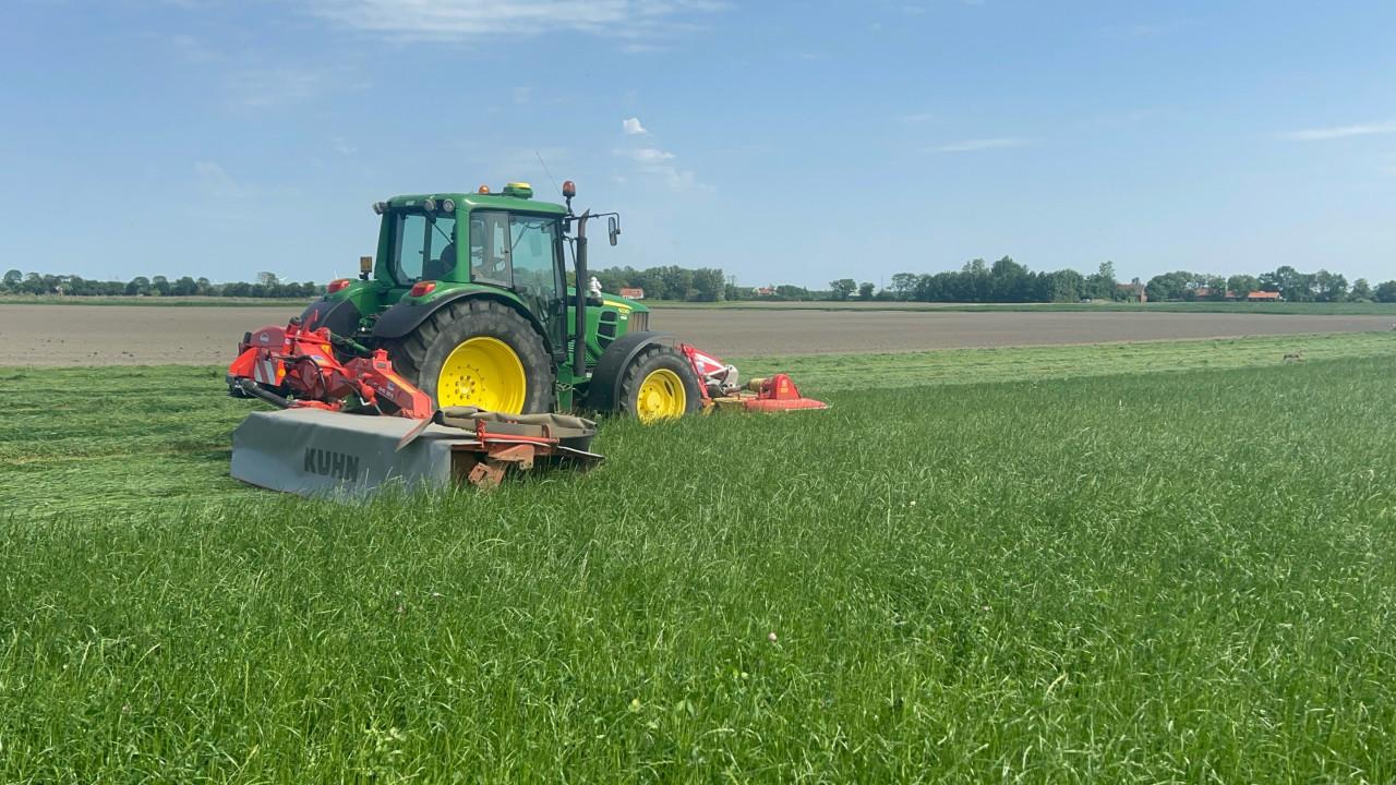 Te koop gevraagd, gras op stam.
