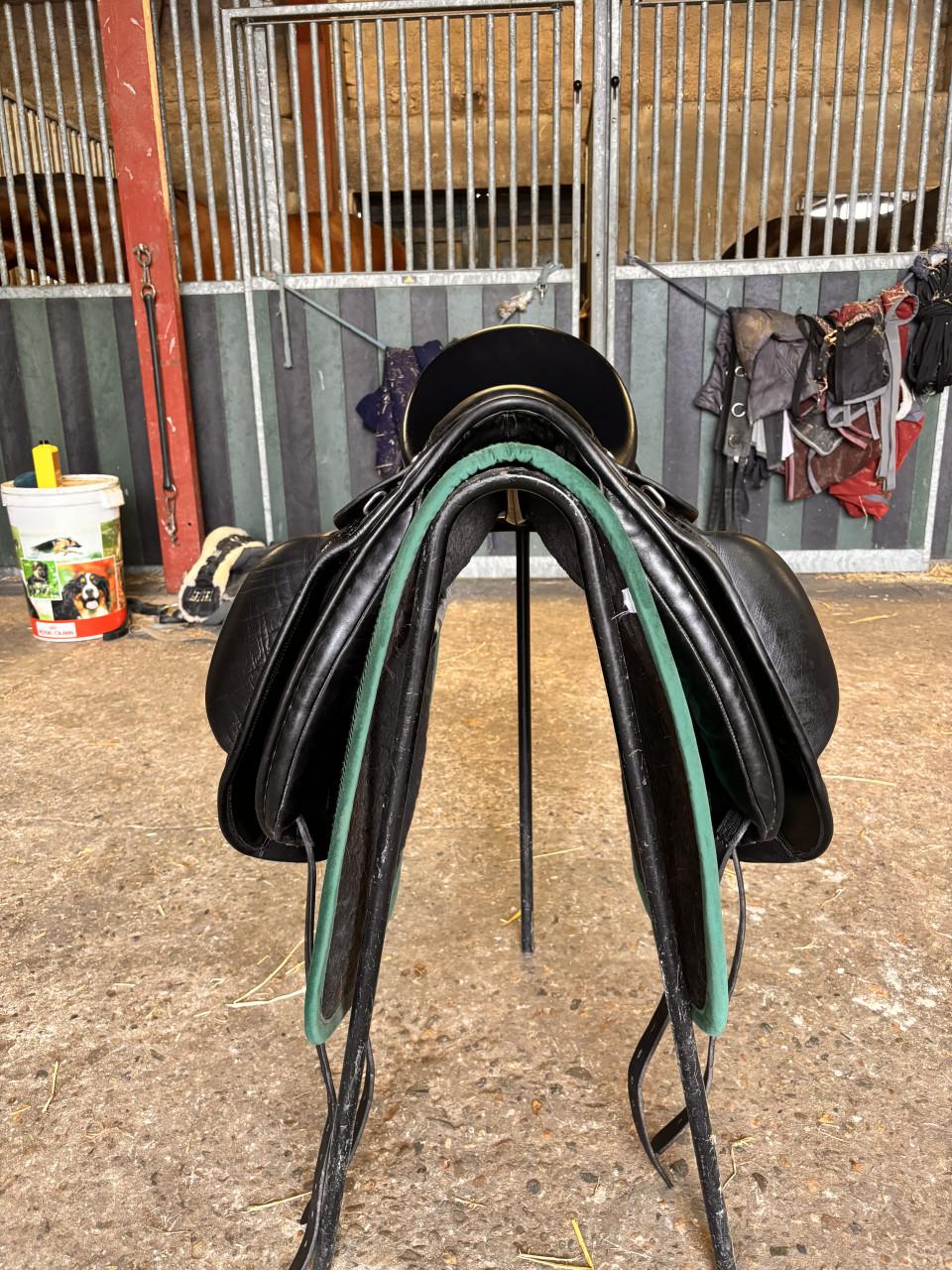 Anatomica Cygnus dressuurzadal