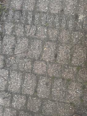 Bestrating (gratis op te halen)