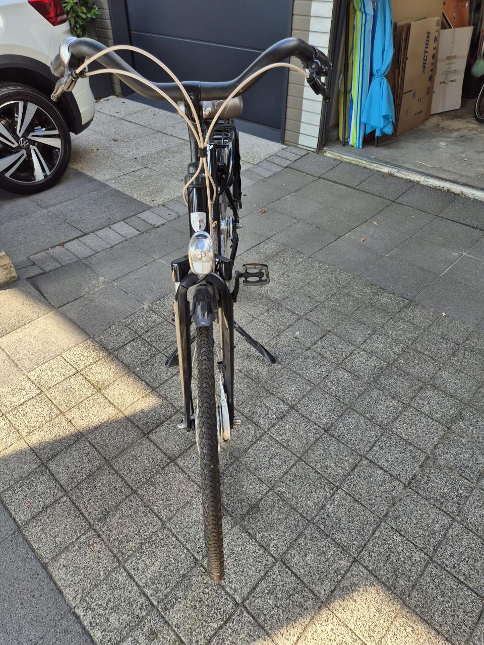 Sparta amazone 4 life, 53 cm, 28 inch