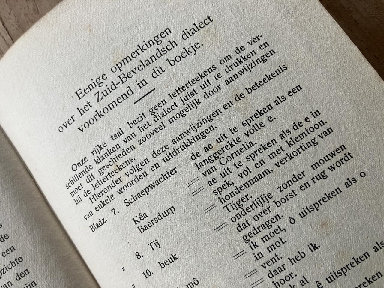 Zeldzaam Zeeuws Boekje Jillis de Schaepwachter (ca. 1920)