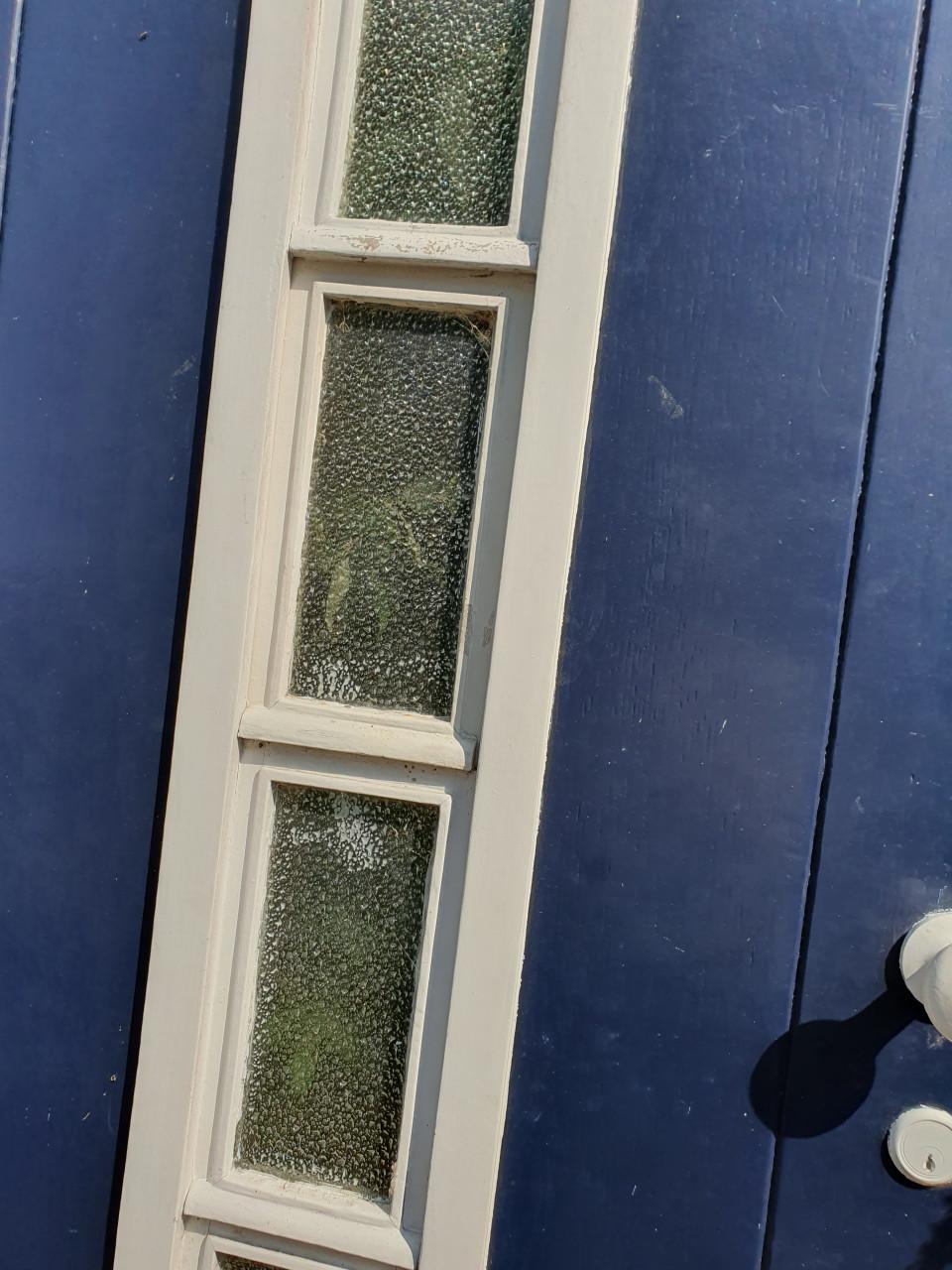 Massief Houten Voordeur met Glas | Exclusief Kozijn