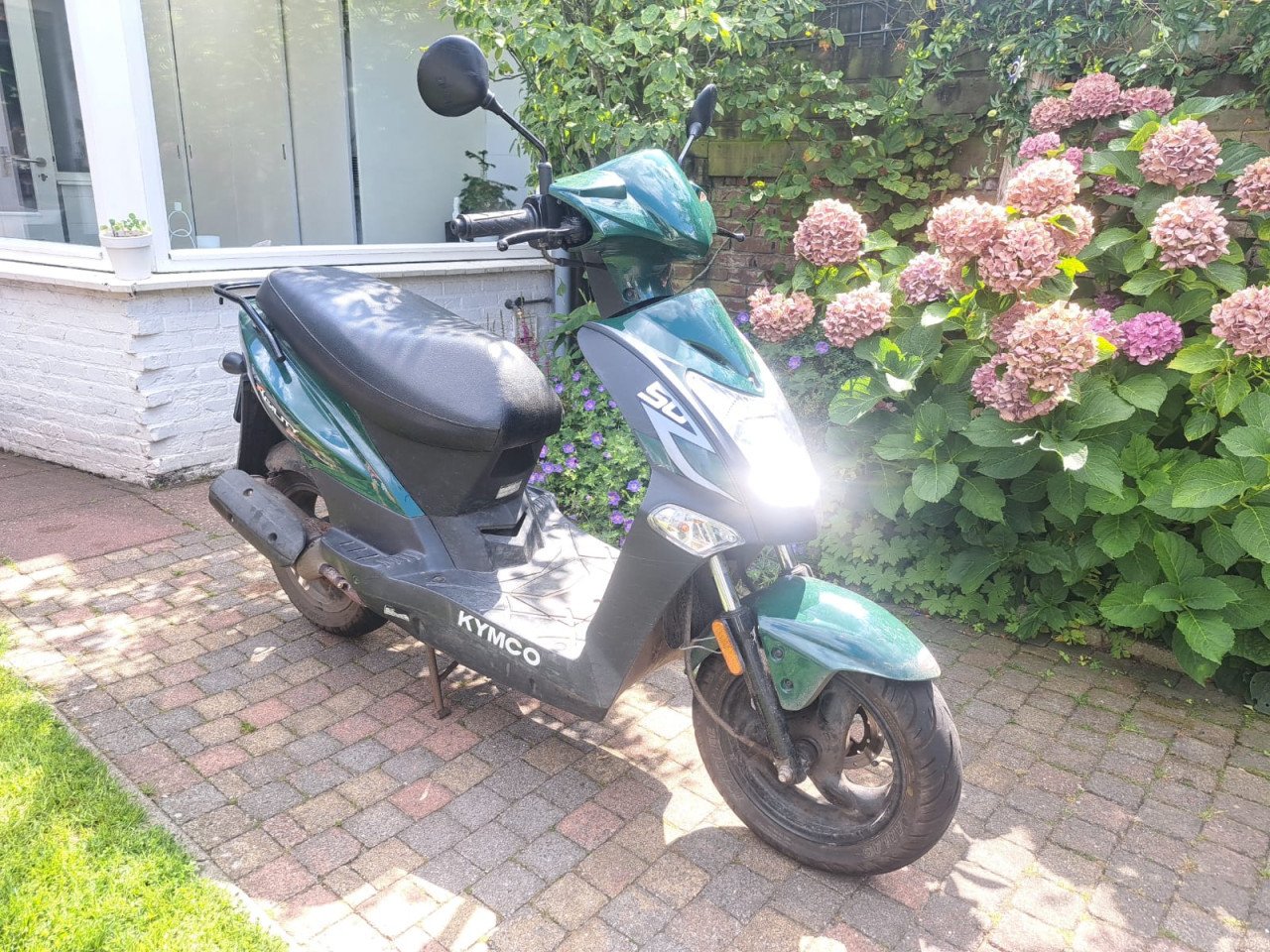 Scooter agility 50