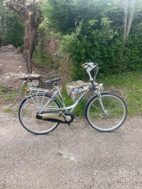 Tekoop nette batavus cresendo spirit