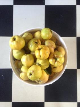 Biologische kweeperen koopje