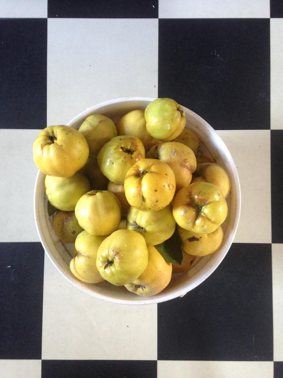 Biologische kweeperen koopje