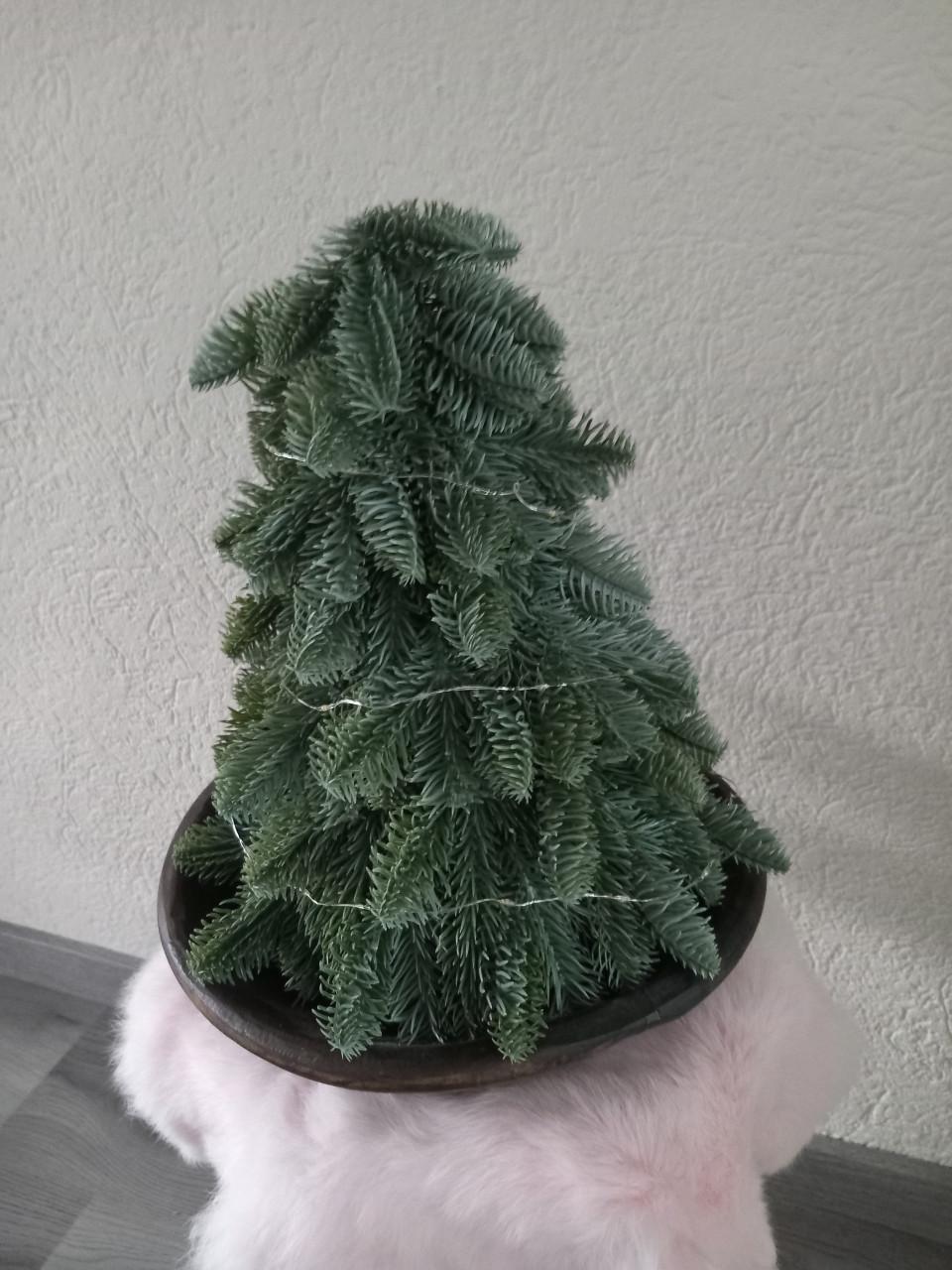 Kunst nobelis boompje