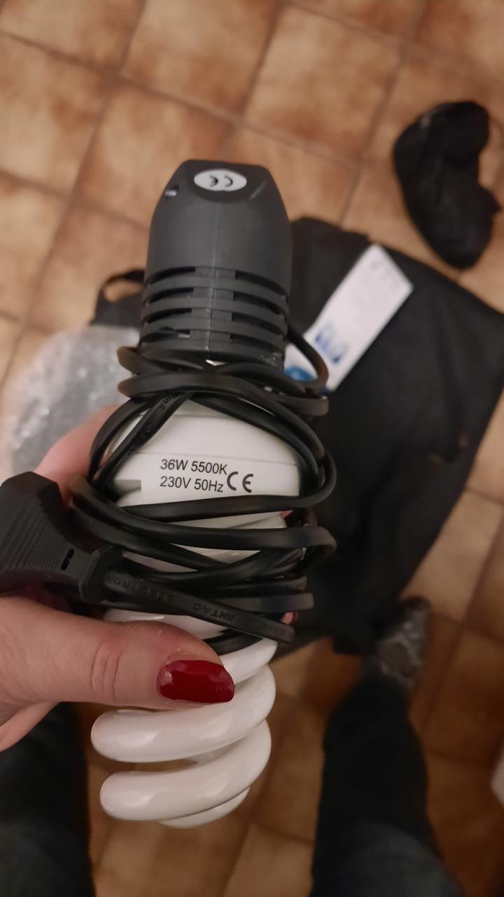 Fotografie studio lampen set foto shoot