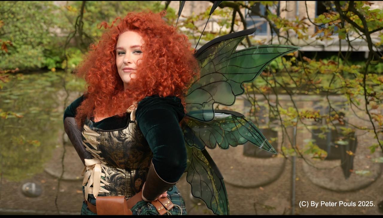Fairy wings cosplay