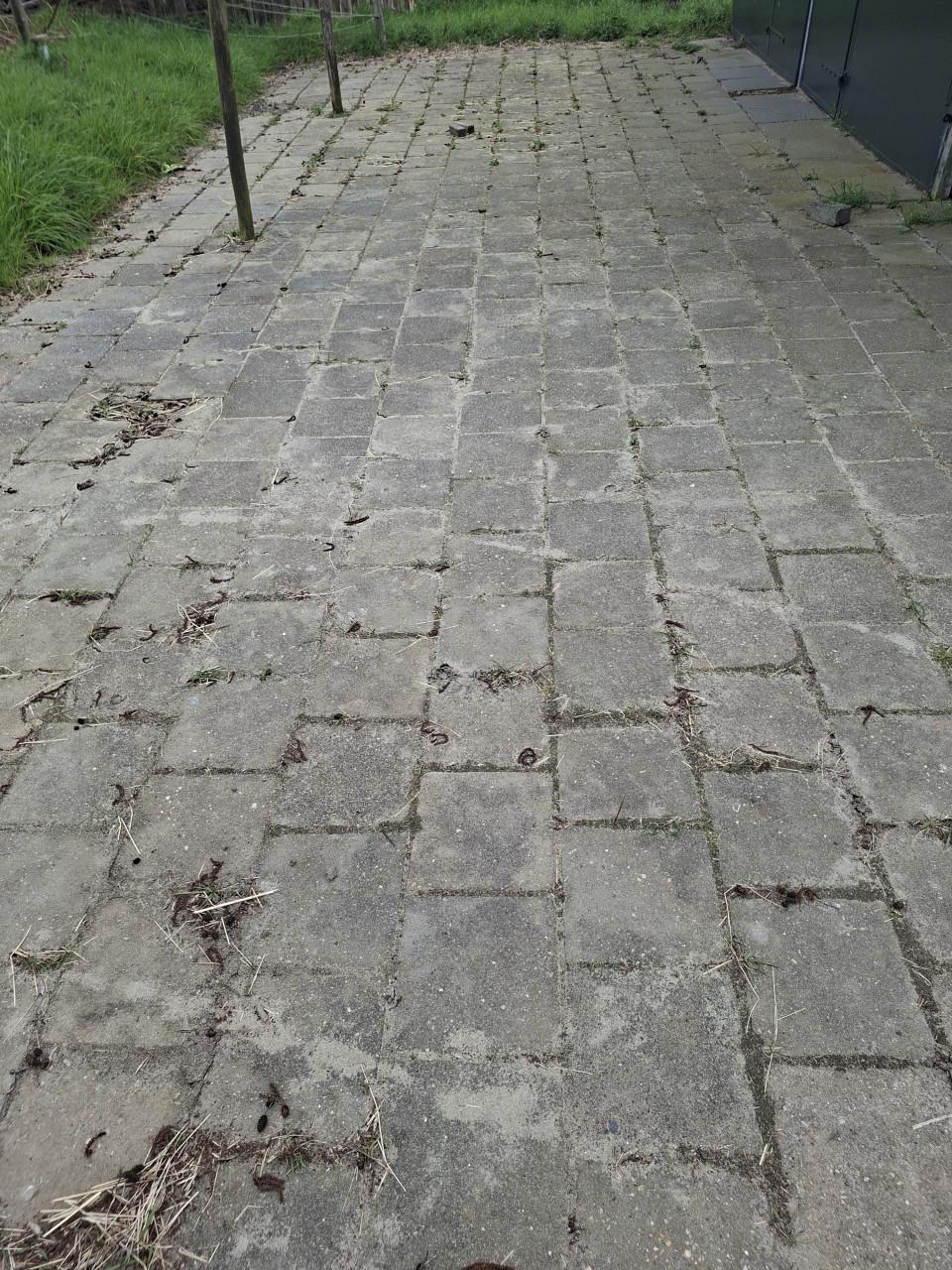 Stenen gratis af te halen in Kloetinge