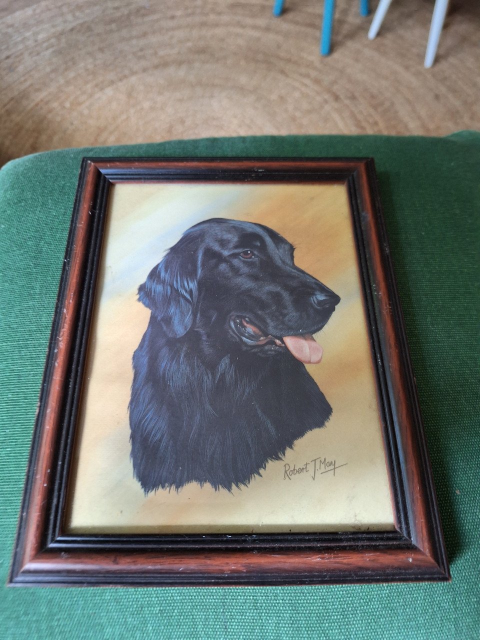 Lijstje met hond