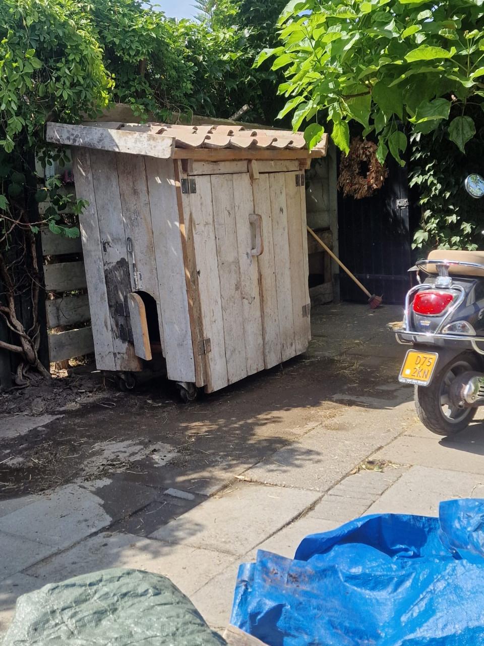 Kippen nachthok te koop