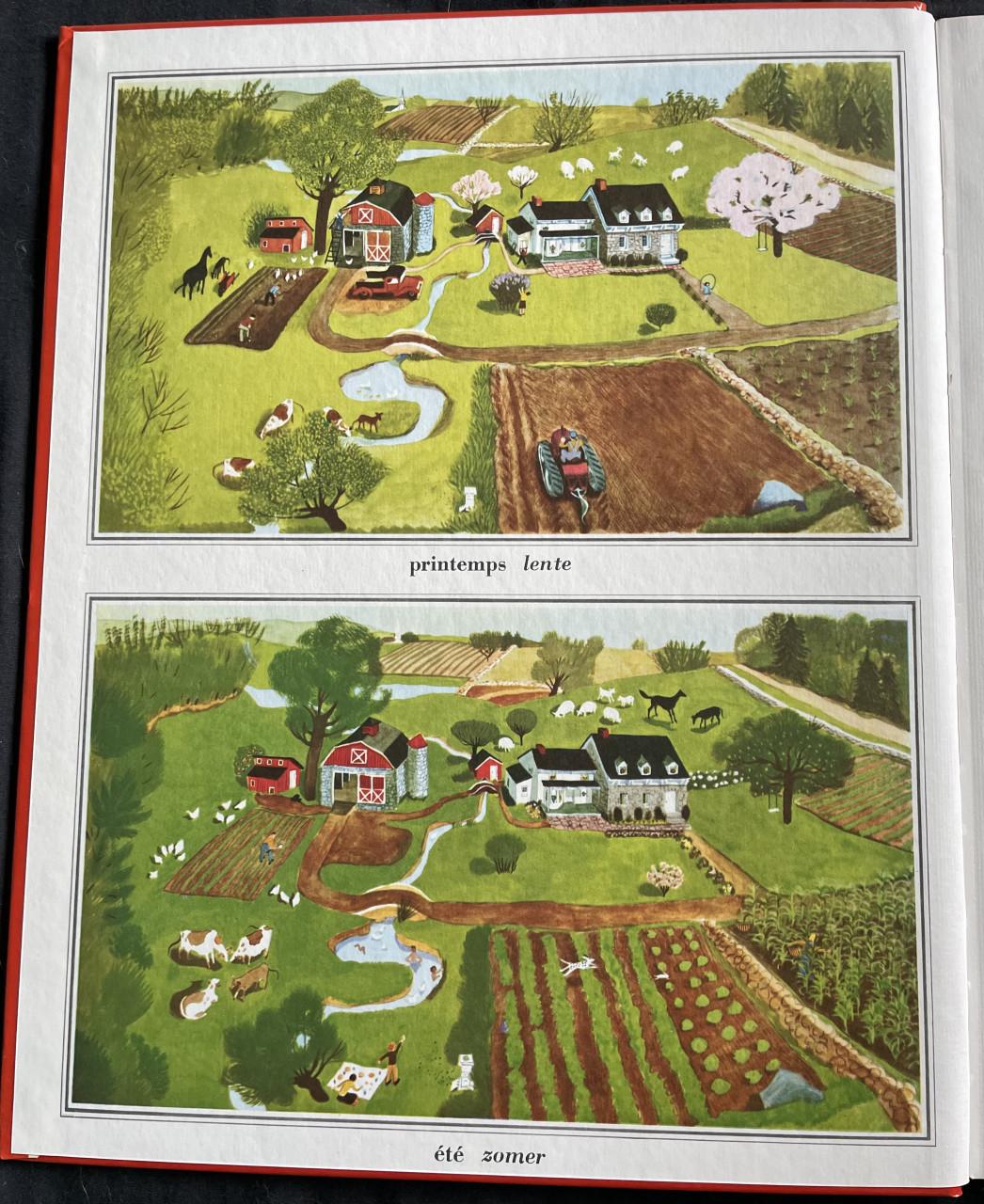 Frans Nederlands woordenboek