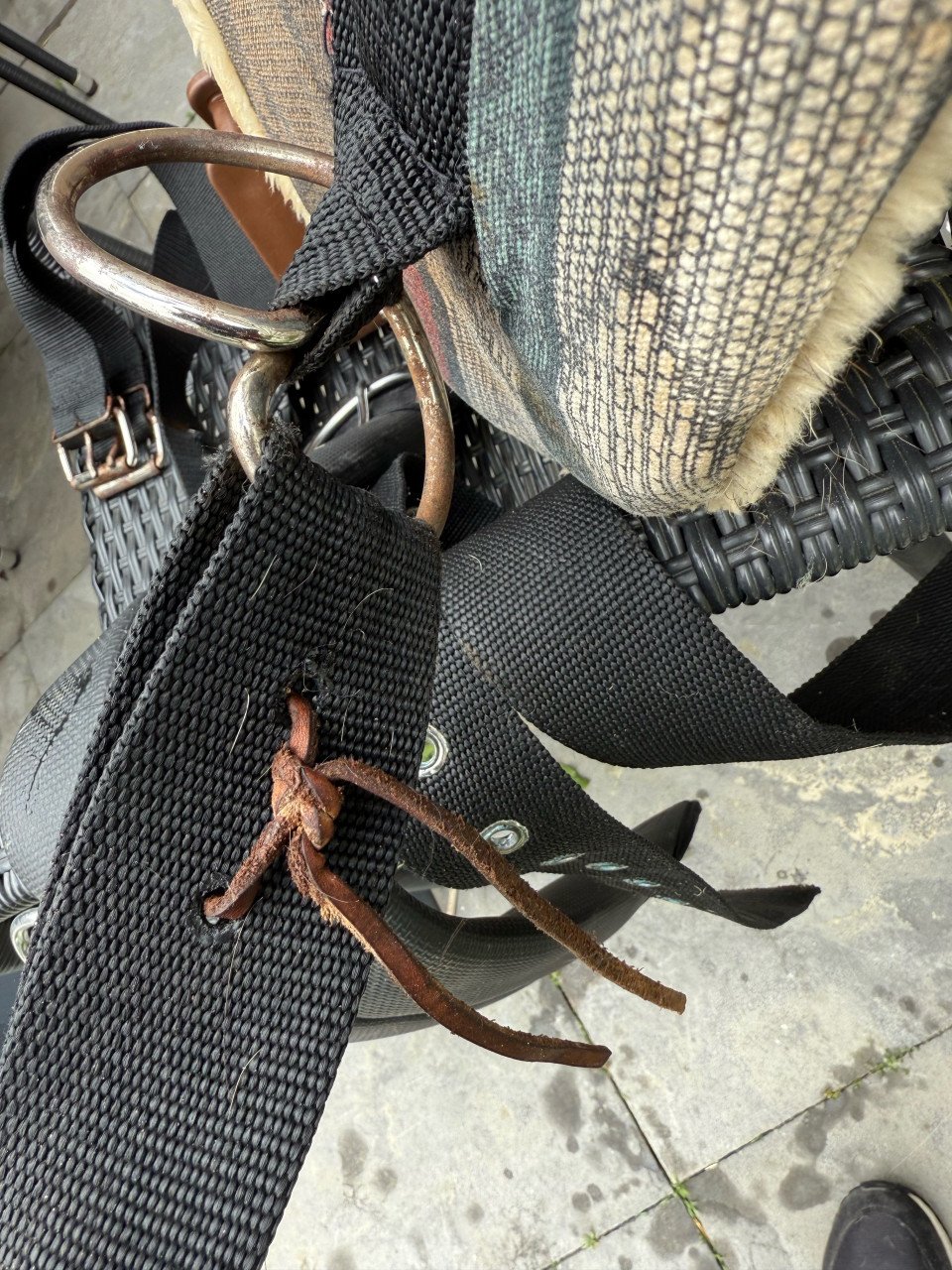 Barebackpad paard