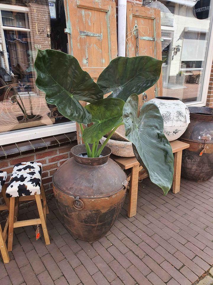 DECORATIE VINDT U OOK BIJ 3Z FACTORY EVENALS OLD WOOD ITEMS VAN STOER EN