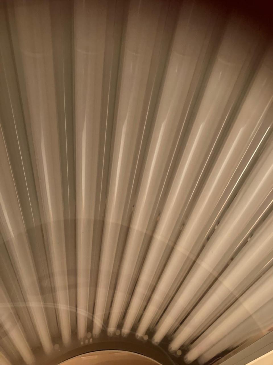 Zonnehemel hapro jade