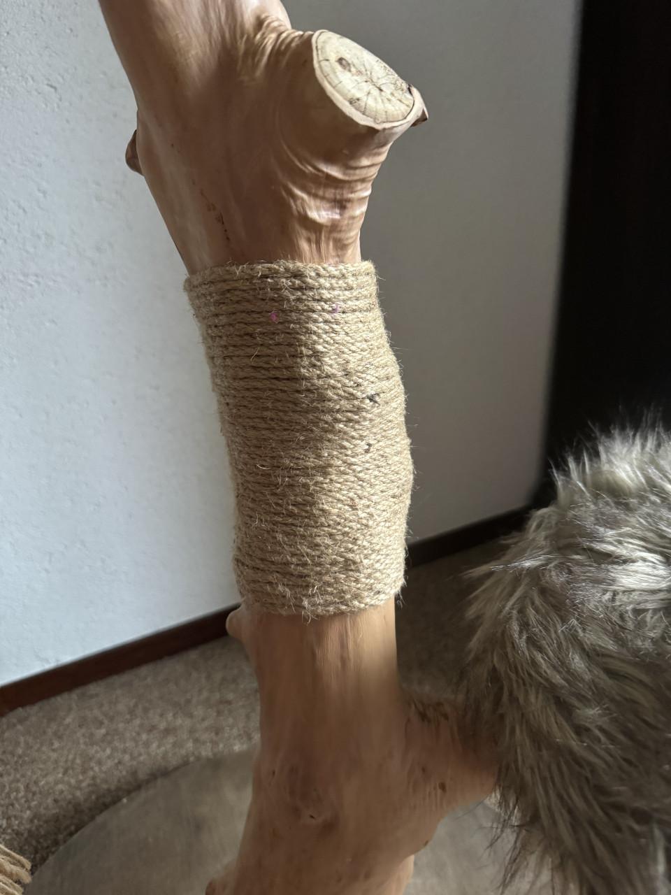 Krabpaal designed by Lotte