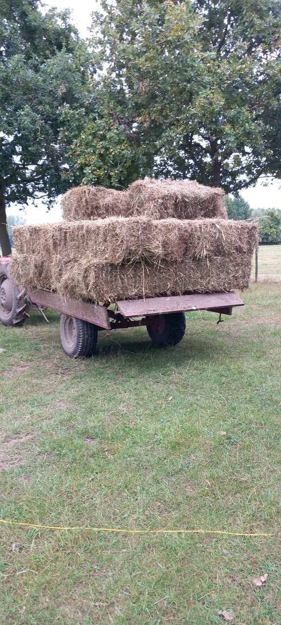 Hooibaaltjes