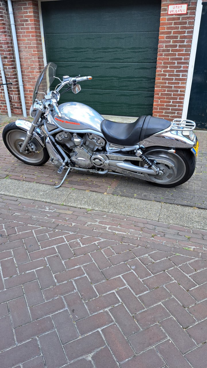 Ze start. Ze gromt. Ze wil asfalt. Geen excuses meer. HD V-Rod VRSCA