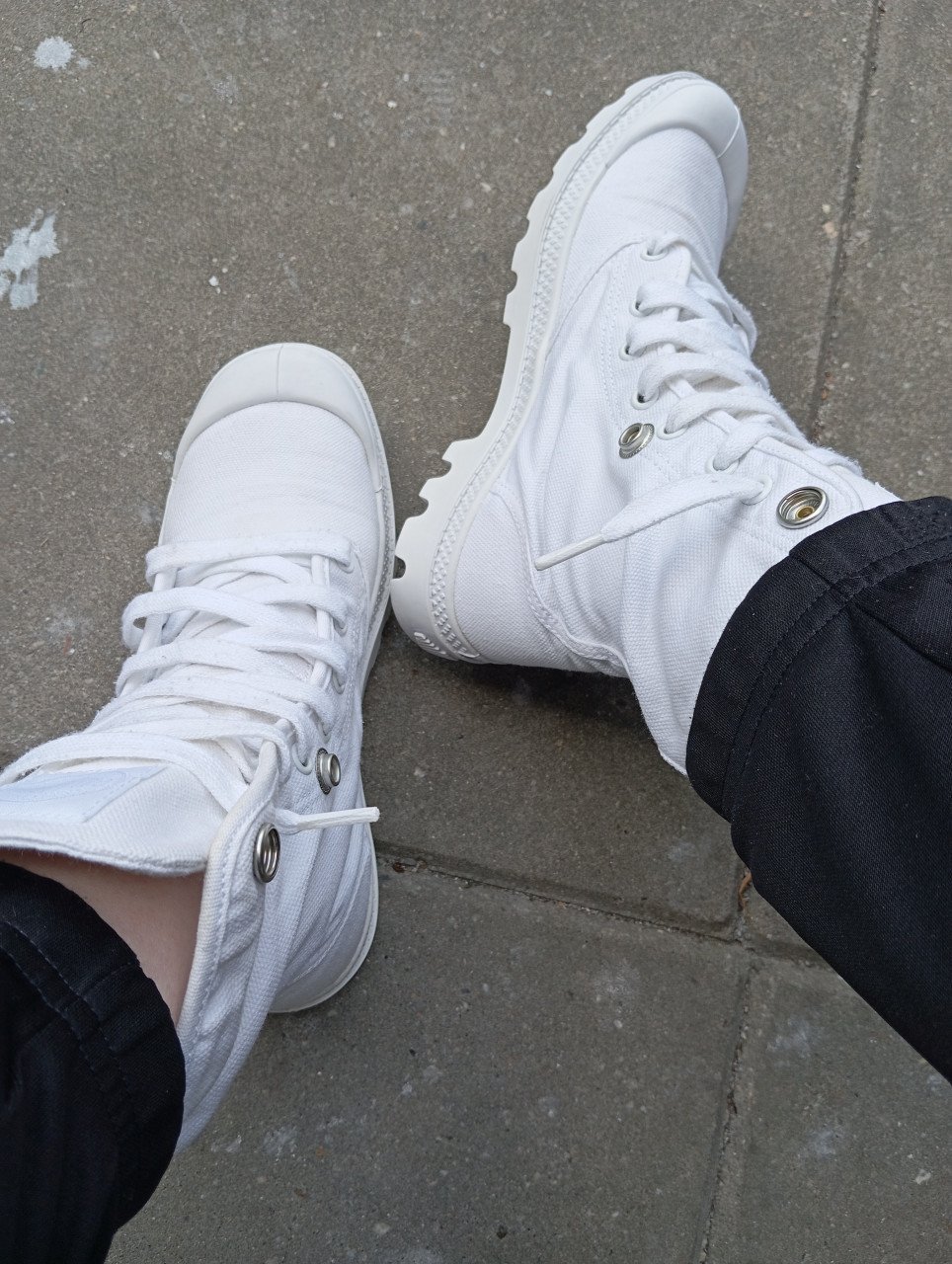 Palladium Baggy Wit 37
