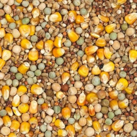 Allerlei duivenvoeders- en benodigdheden