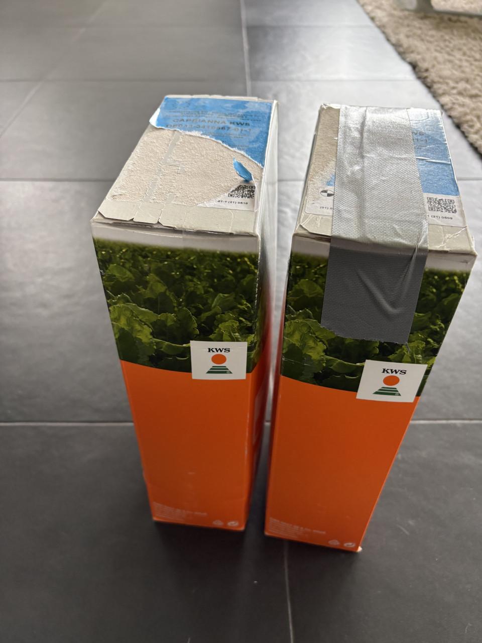 Bietenzaad Caprianna KWS Force