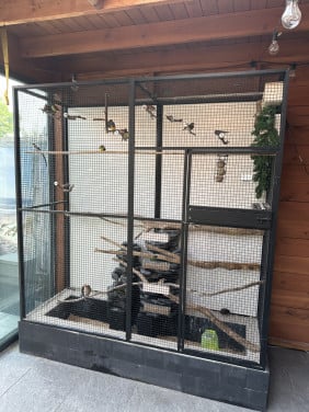 Vogels