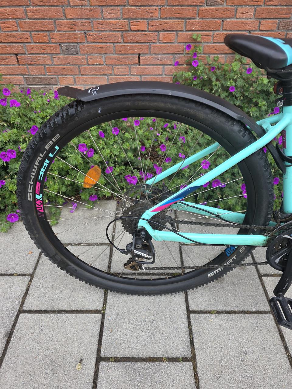 CUBE | ACCESS HPA | 29 INCH | FRAME 42 CM | 3X8 V | NETTE STAAT!