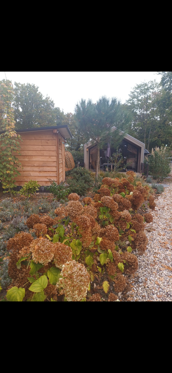 4 persoons Chalet te koop lieren Veluwe