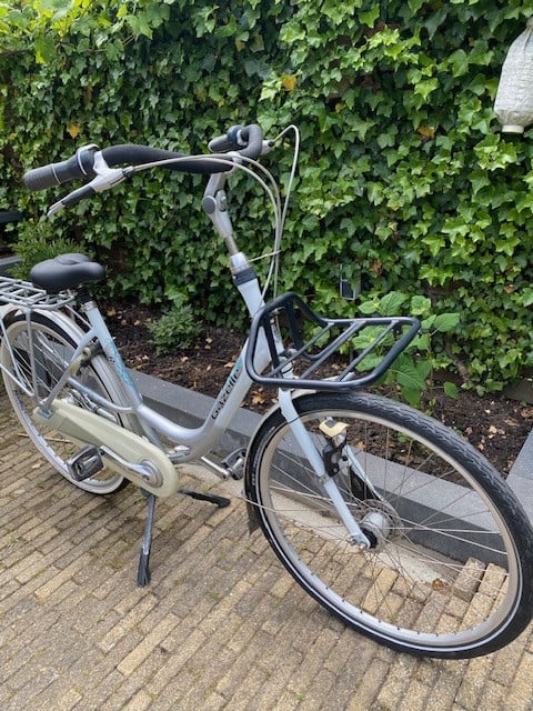 Moederfiets Gazelle Bloom