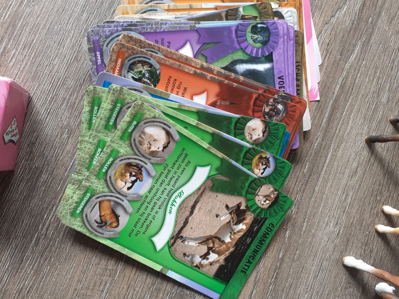 Paarden weetjes kwartet, leesboek en puzzel