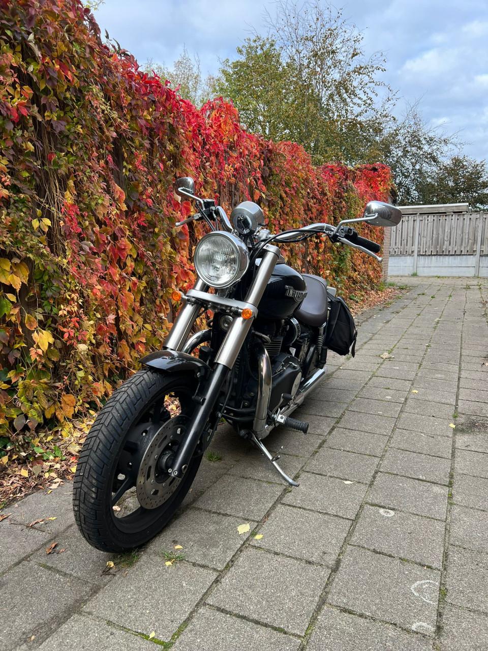 Triumph Speedmaster 2003