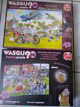 Puzzels wasgy
